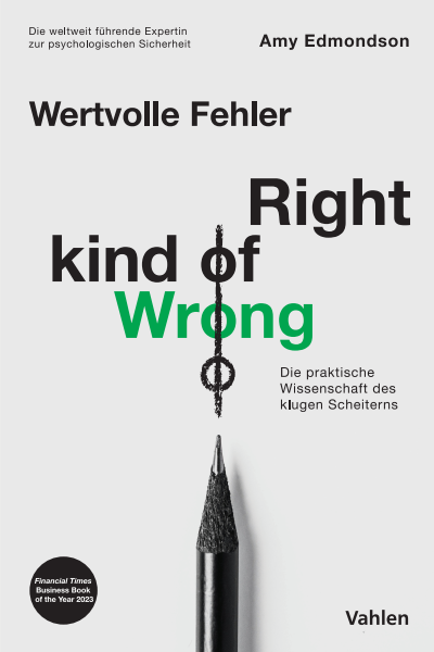 Cover des Buchs: Wertvolle Fehler - Right Kind of Wrong