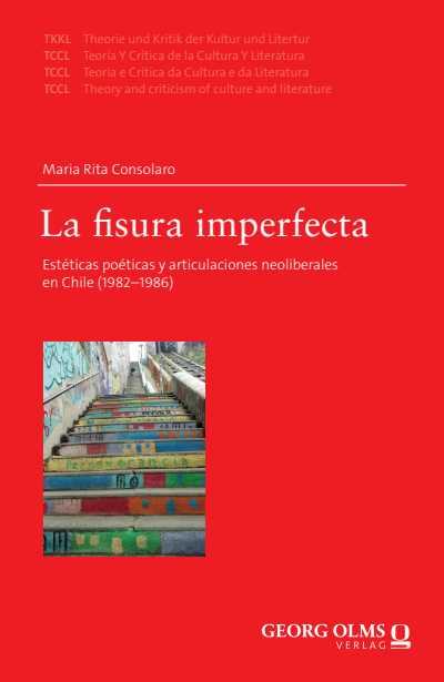 Cover des Buchs: La fisura imperfecta