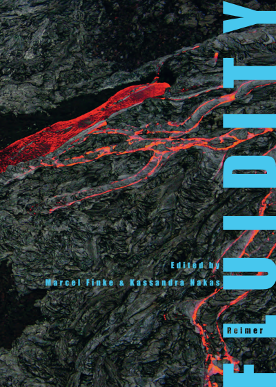 Cover des Buchs: Fluidity